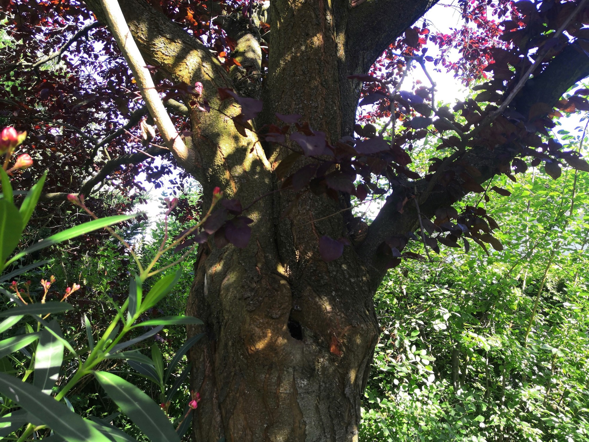 In der war ein Loch.