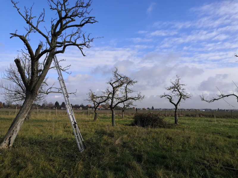 Schnittkurs_Engelsdorf_1