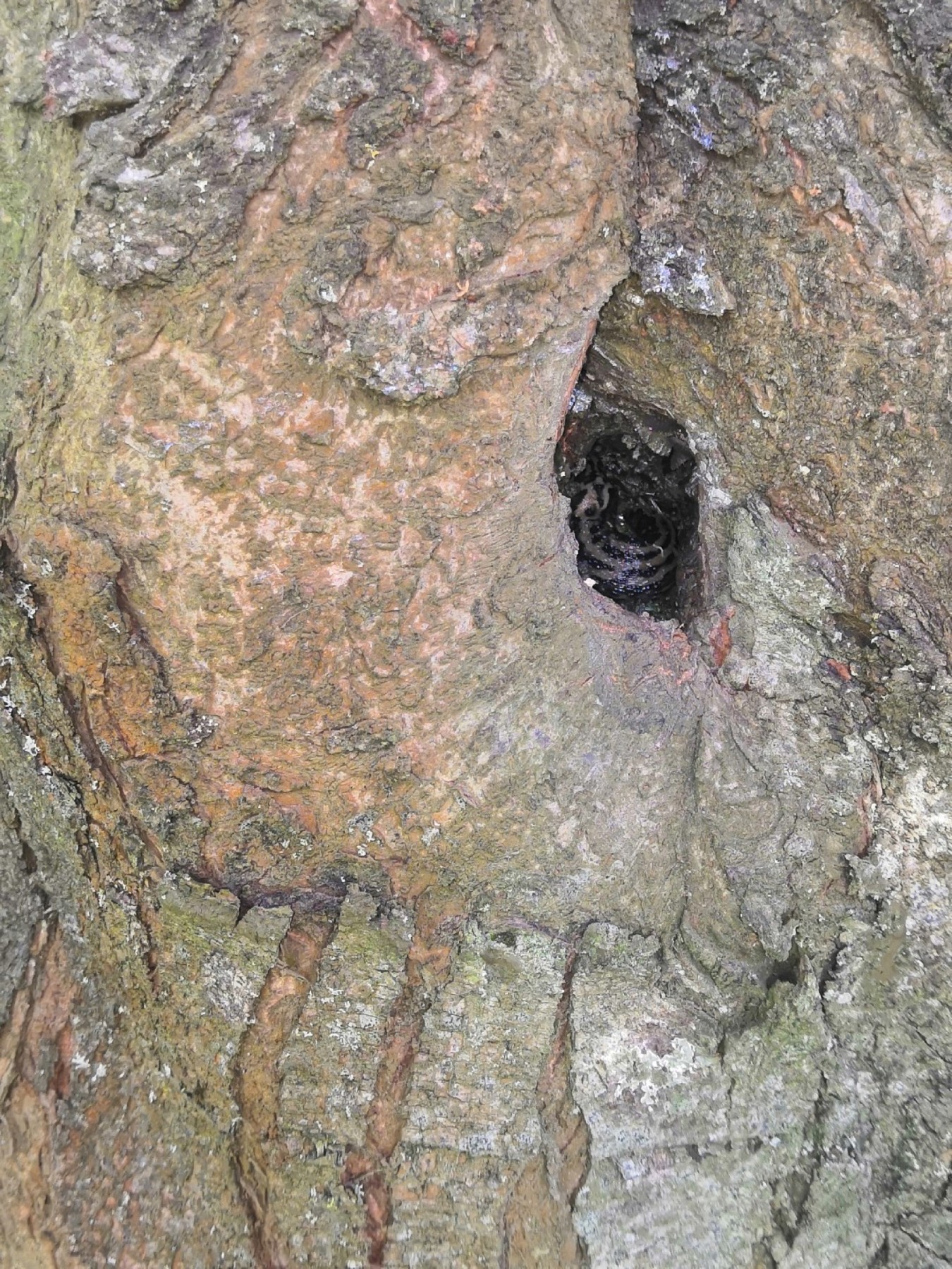 Das Loch wurde immer kleiner.